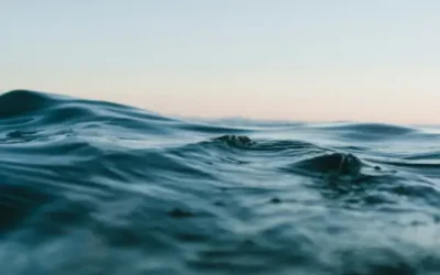 The Little Things That Make a Big Difference in EFT Sessions