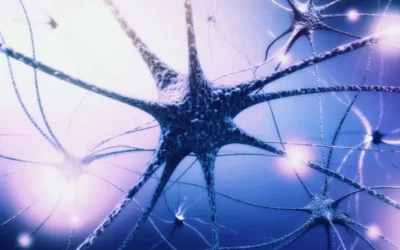 What Your Nervous System Is Trying to Tell You