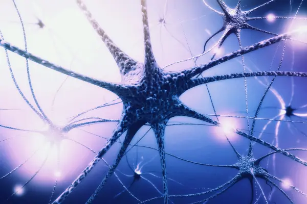 What Your Nervous System Is Trying to Tell You